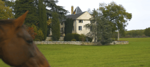 Domaine équestre en Occitanie